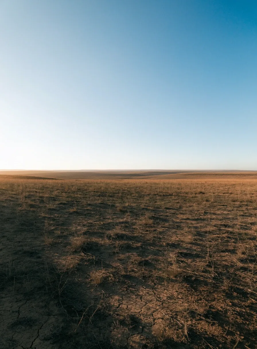 Paisaje seco español bajo luz baja de la mañana, con una línea de horizonte amplia